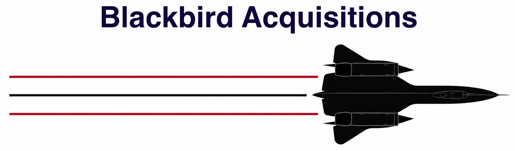 Blackbird Acquisitions Logo
