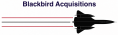 Blackbird Acquisitions Logo